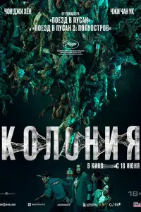 Колония 