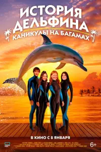  История дельфина: Каникулы на Багамах 